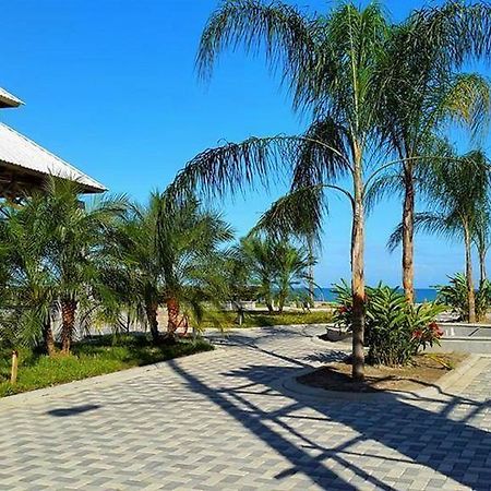 Uw Oasis Hotel Ла Сейба Екстериор снимка